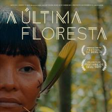 Foto Luiz Bolognesi <span>A Última Floresta </span>